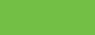 *54 Fluorescent  Green